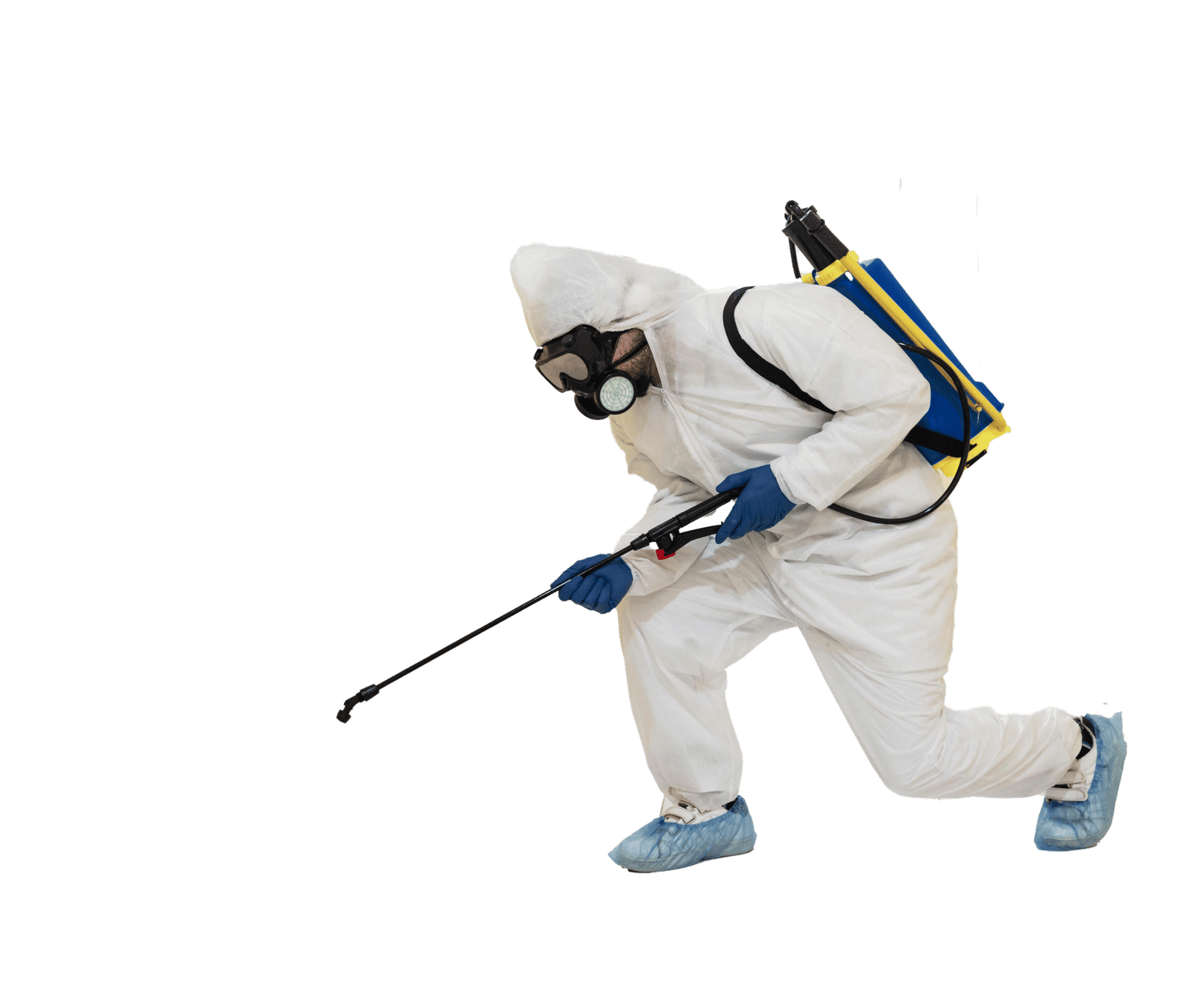 pets- HanuiT solutions